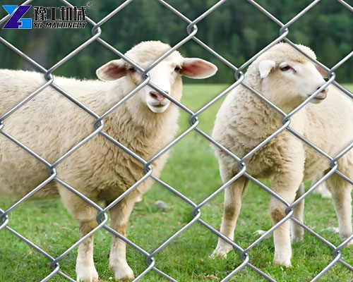 applied in farm applied in farm